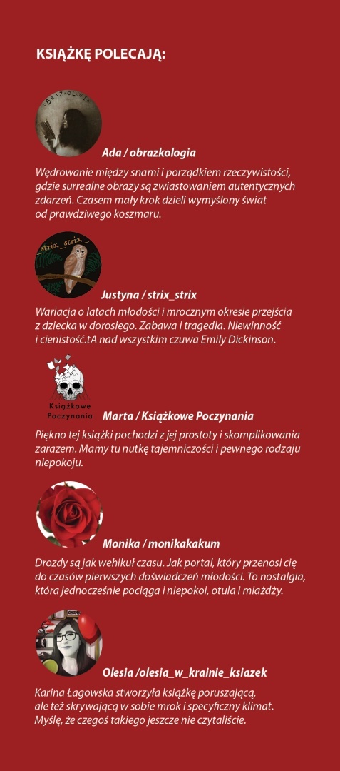 DROZDY - Karina Łagowska [PRZEDSPRZEDAŻ]