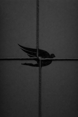 OFERTA MROCZNEGO IKARA