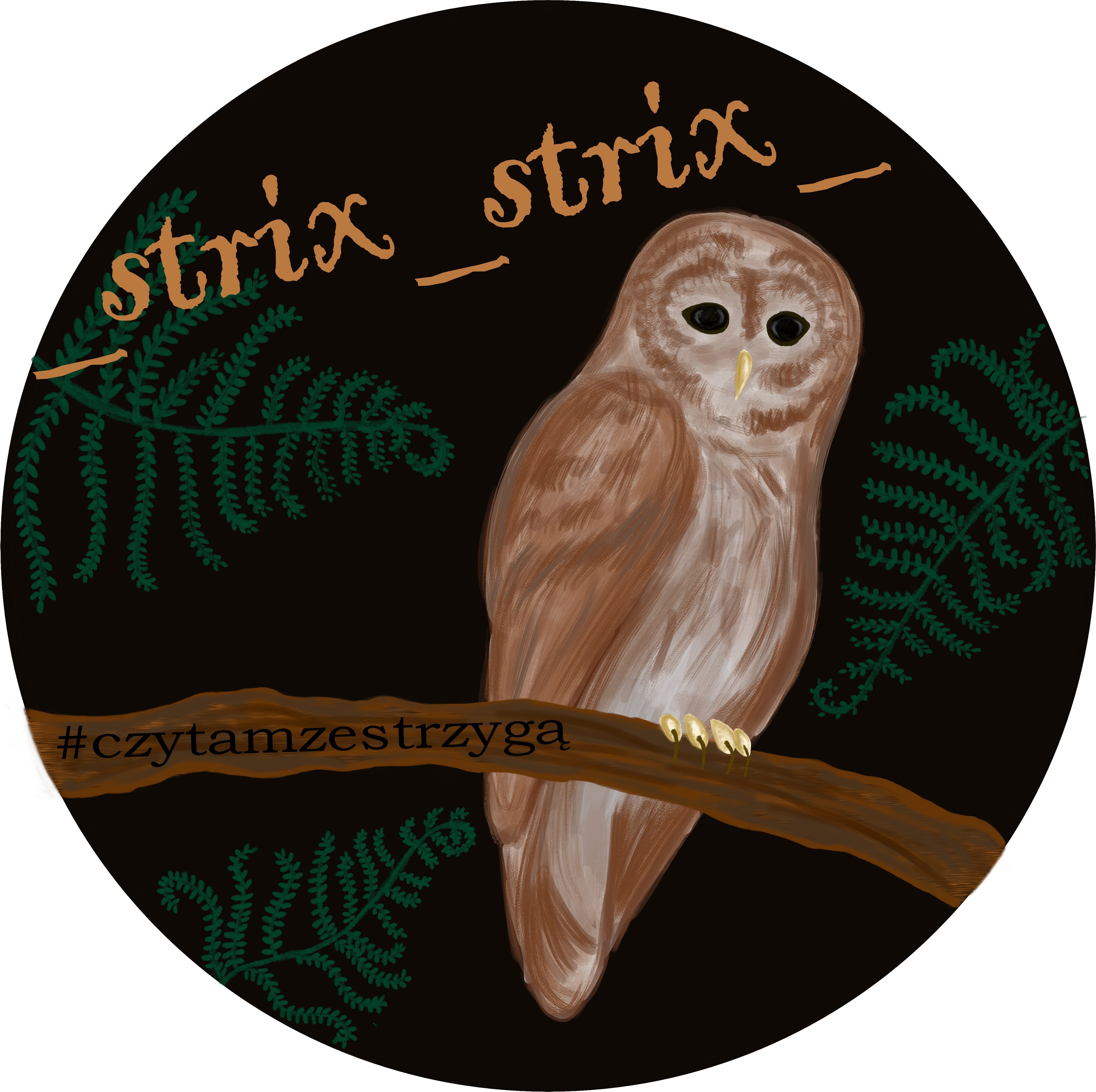 logo-strix-strix-33.png
